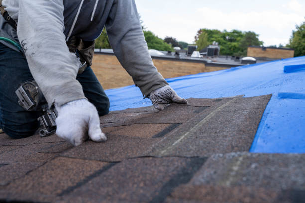 Best Roof Restoration Services  in Pasadena Hills, FL