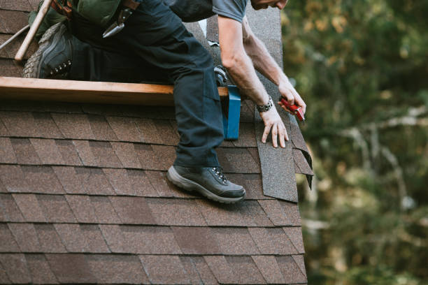 Best Roof Gutter Cleaning  in Pasadena Hills, FL